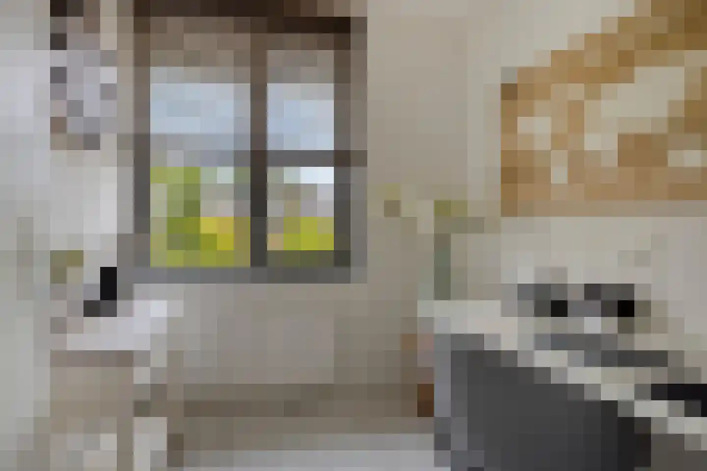 Advocatenhof 5 Bosschenhoofd thumbnail 20