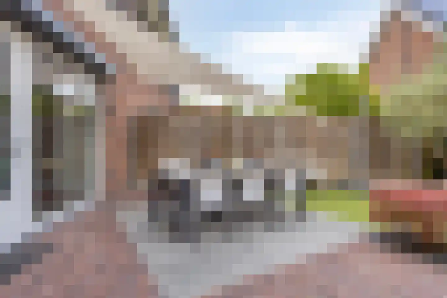 Advocatenhof 5 Bosschenhoofd thumbnail 25