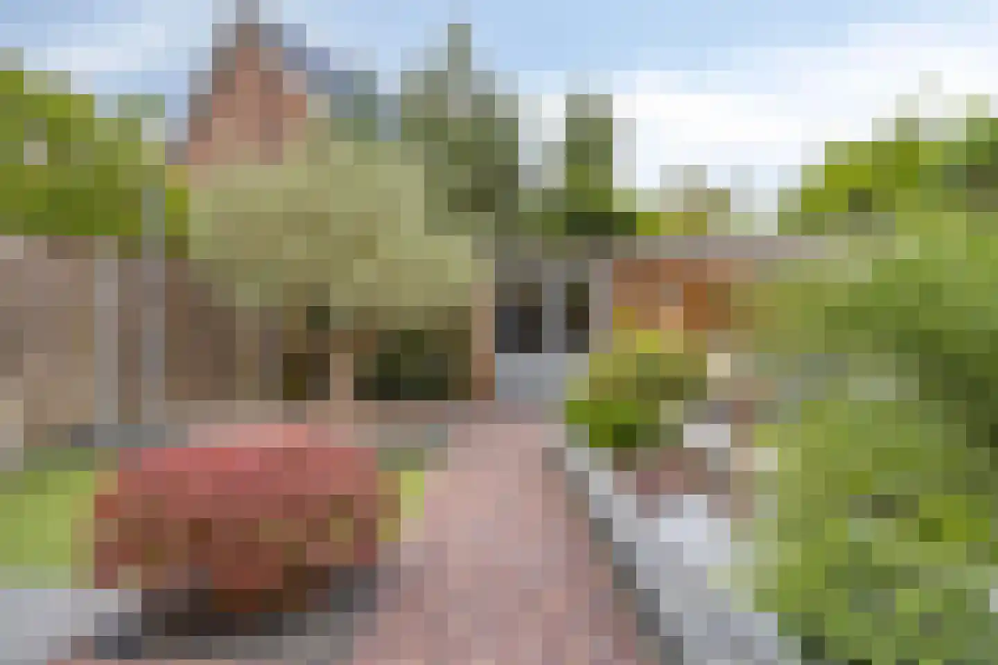 Advocatenhof 5 Bosschenhoofd thumbnail 27