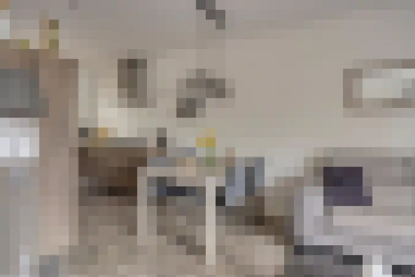 Advocatenhof 5 Bosschenhoofd thumbnail 8