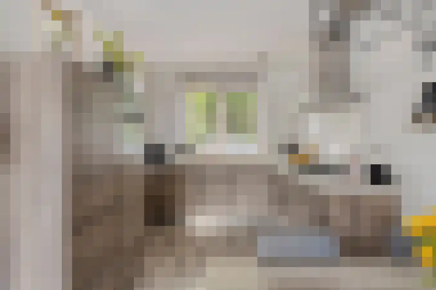 Advocatenhof 5 Bosschenhoofd thumbnail 9