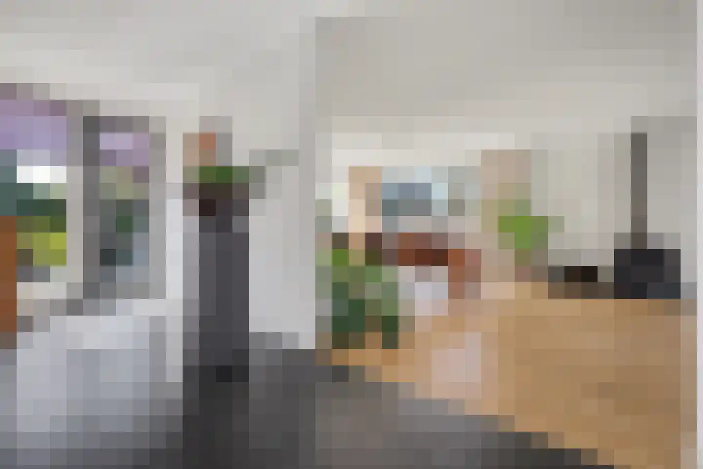Advocatenlaan 2 a Ammerzoden thumbnail 10