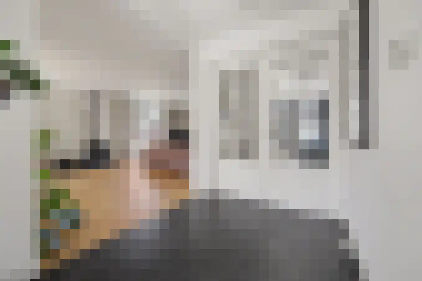 Advocatenlaan 2 a Ammerzoden thumbnail 12