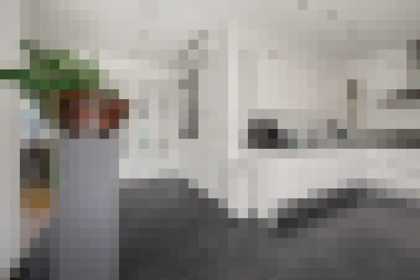 Advocatenlaan 2 a Ammerzoden thumbnail 13