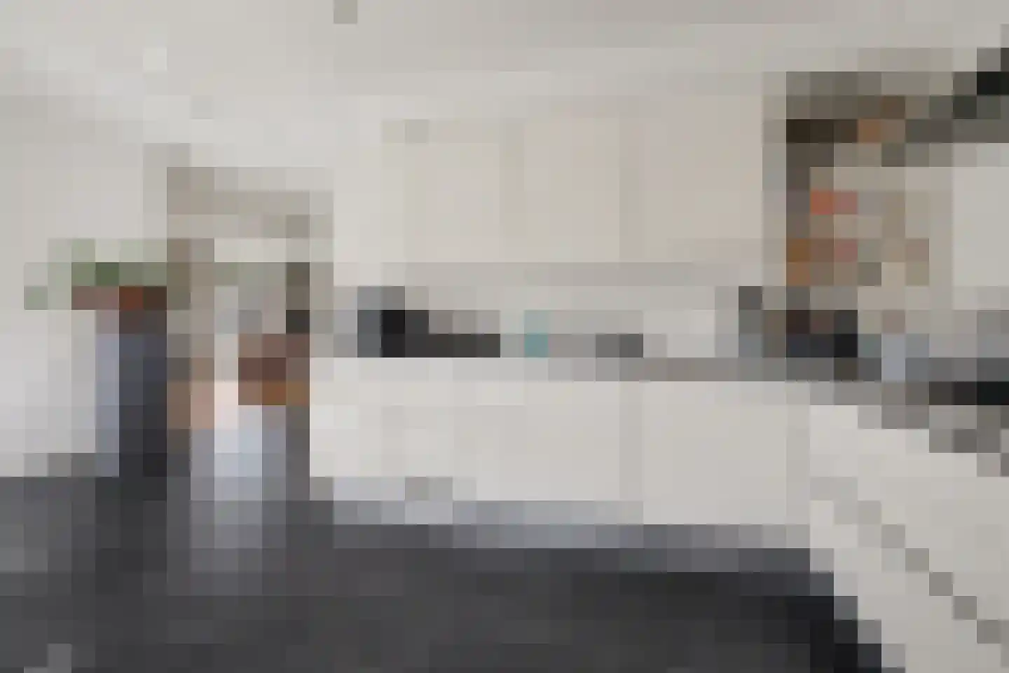 Advocatenlaan 2 a Ammerzoden thumbnail 14