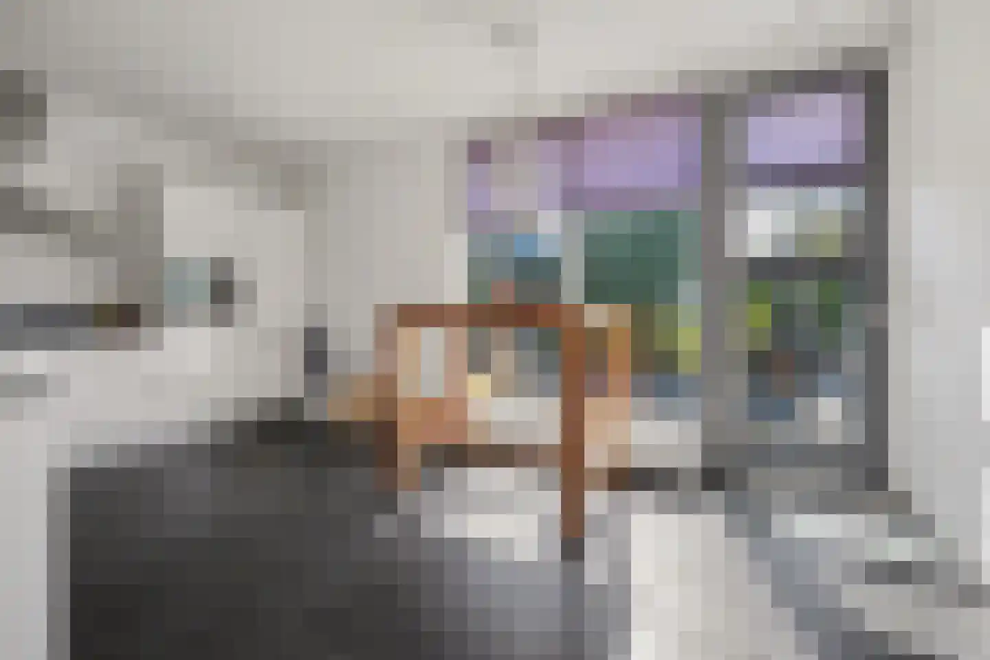 Advocatenlaan 2 a Ammerzoden thumbnail 15