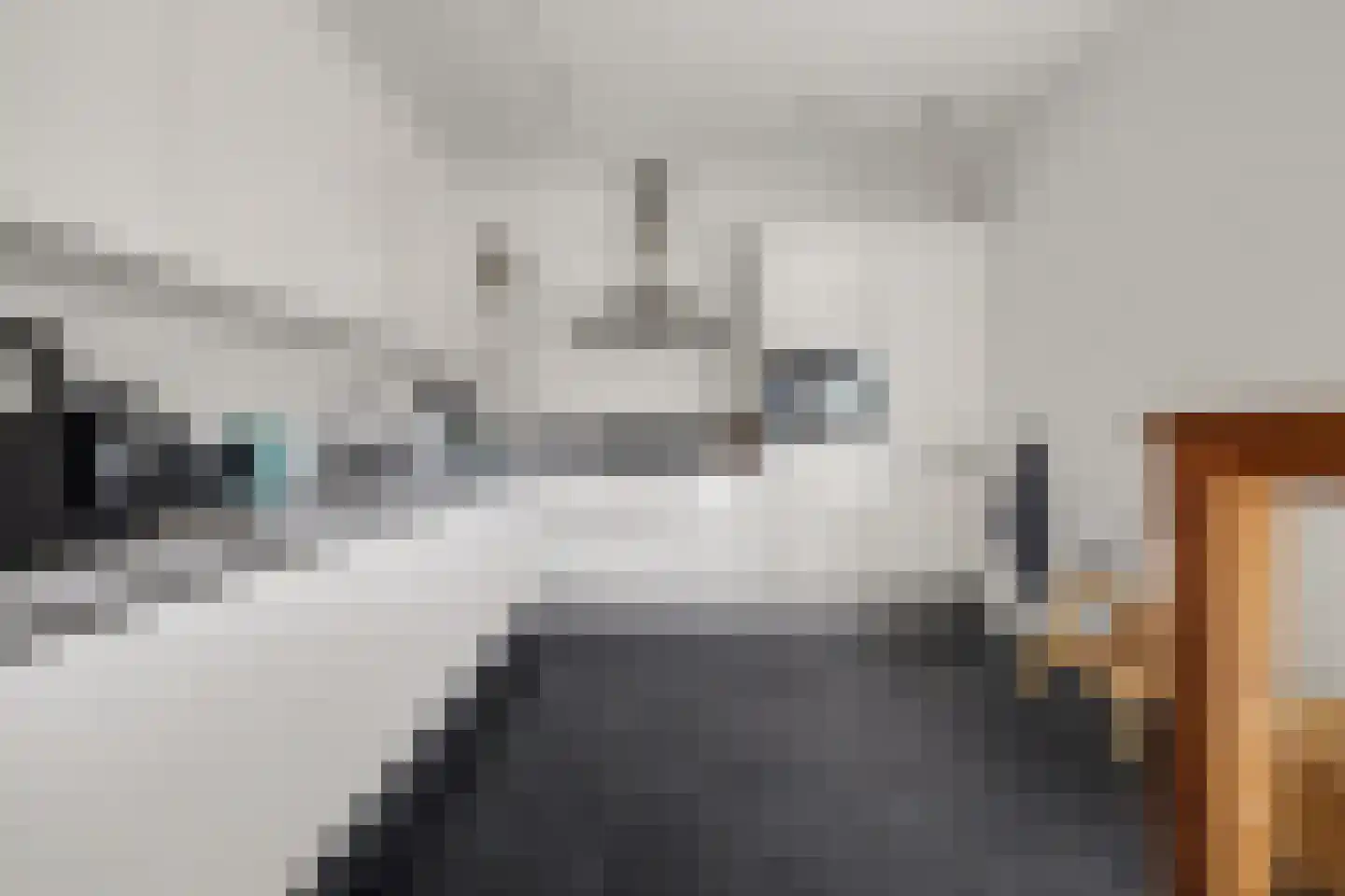 Advocatenlaan 2 a Ammerzoden thumbnail 16