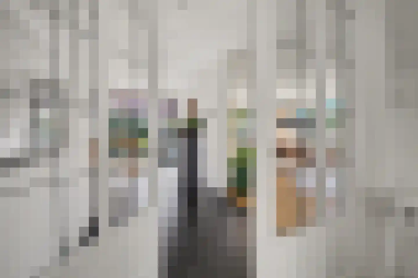 Advocatenlaan 2 a Ammerzoden thumbnail 17