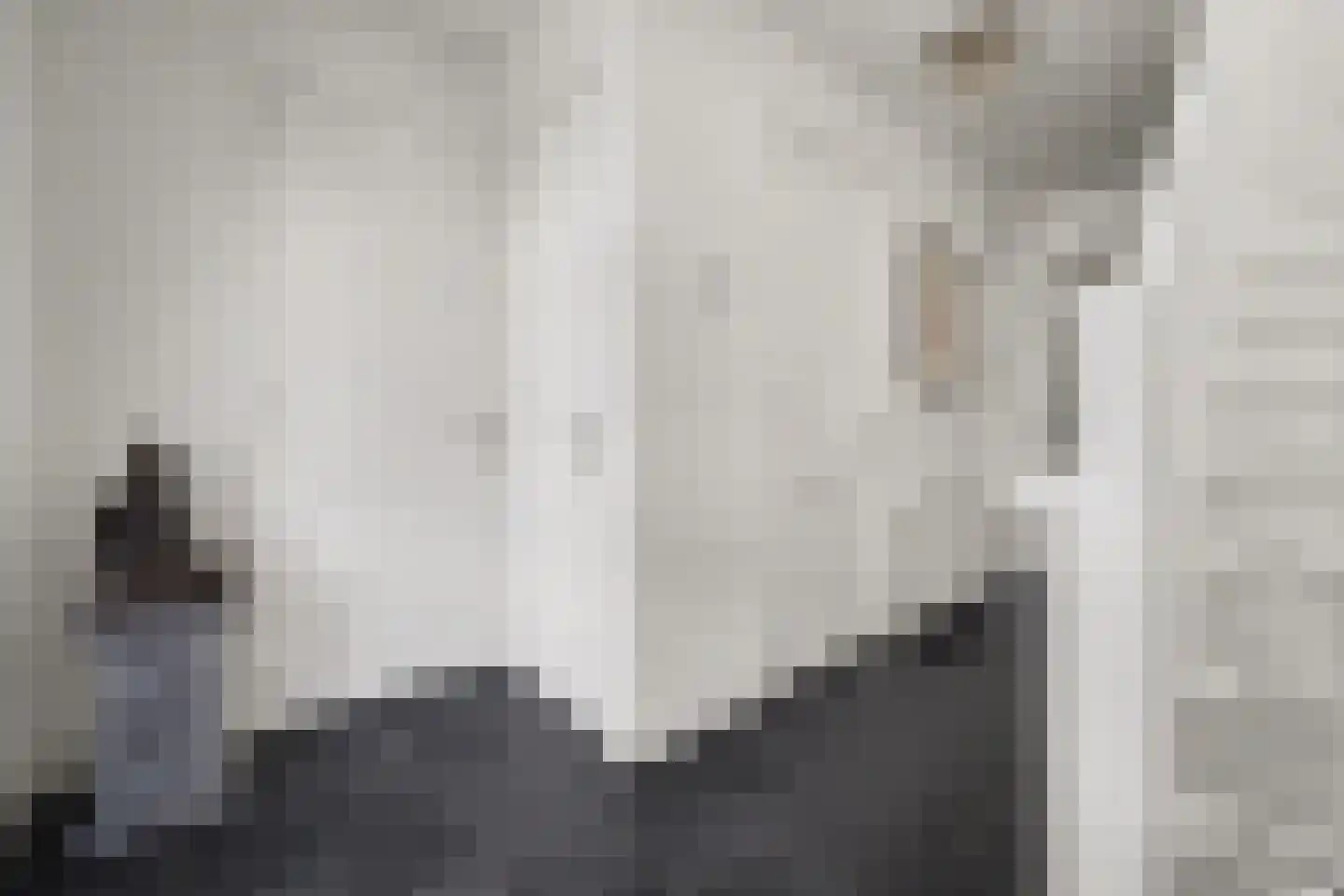Advocatenlaan 2 a Ammerzoden thumbnail 21