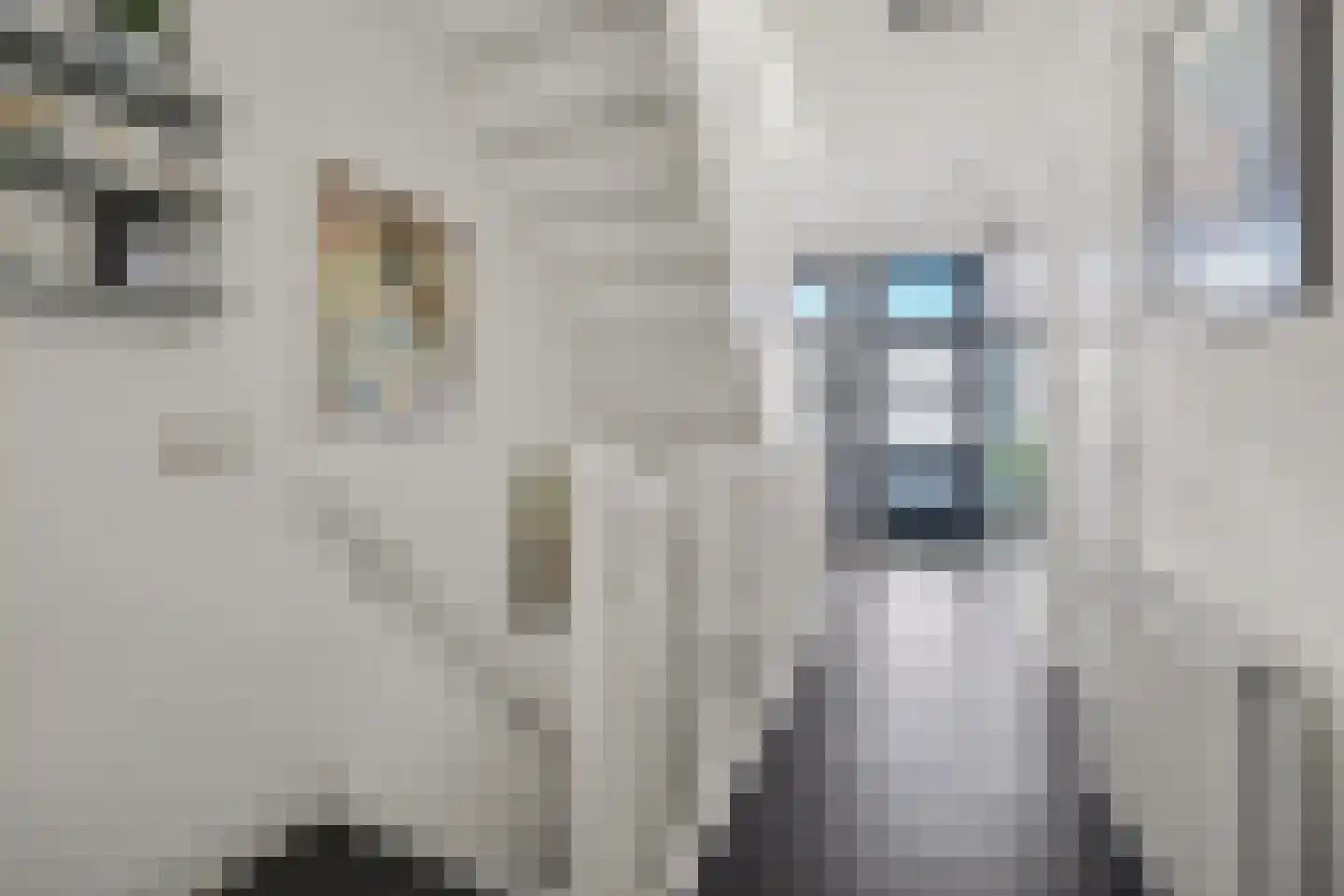Advocatenlaan 2 a Ammerzoden thumbnail 22