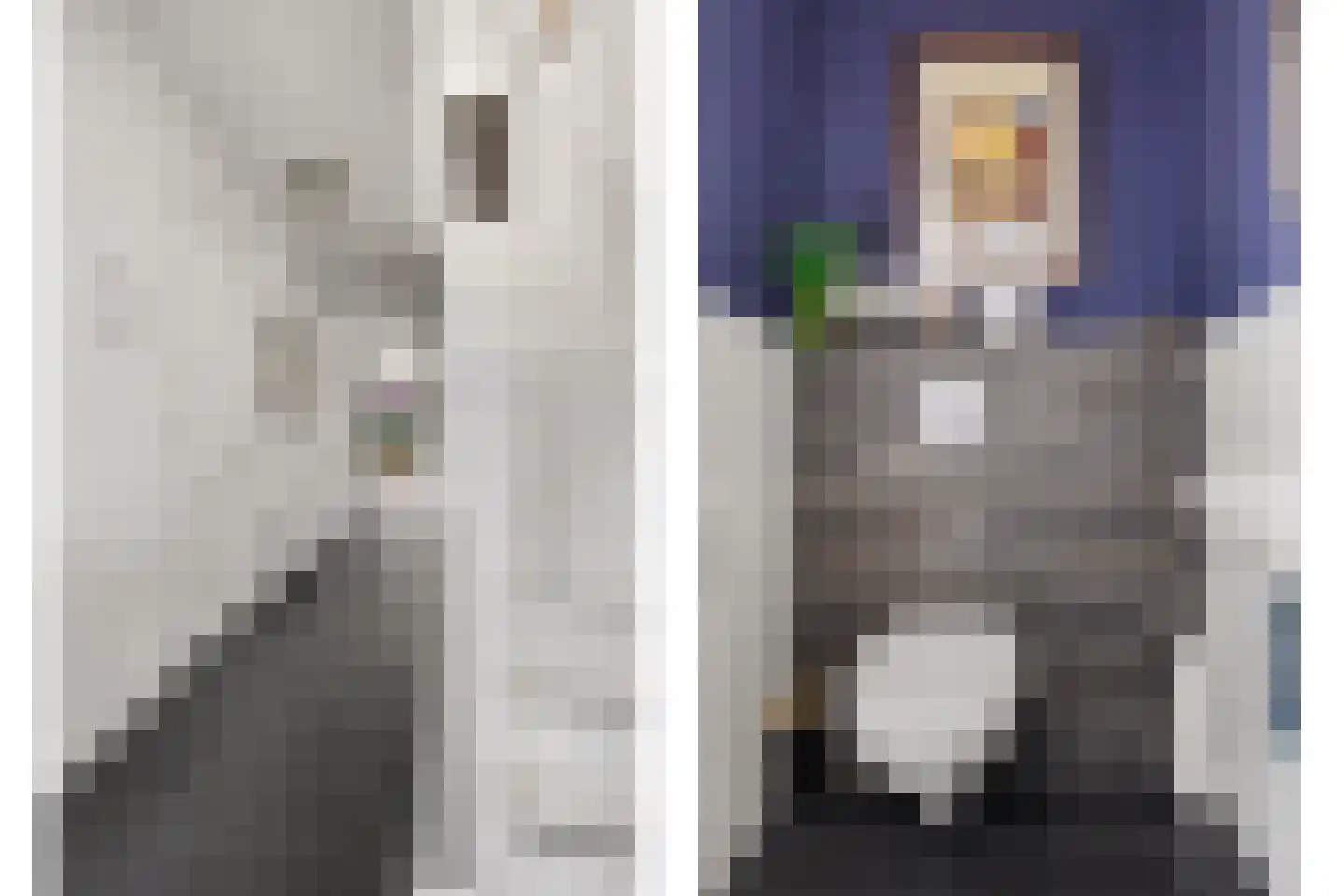 Advocatenlaan 2 a Ammerzoden thumbnail 23