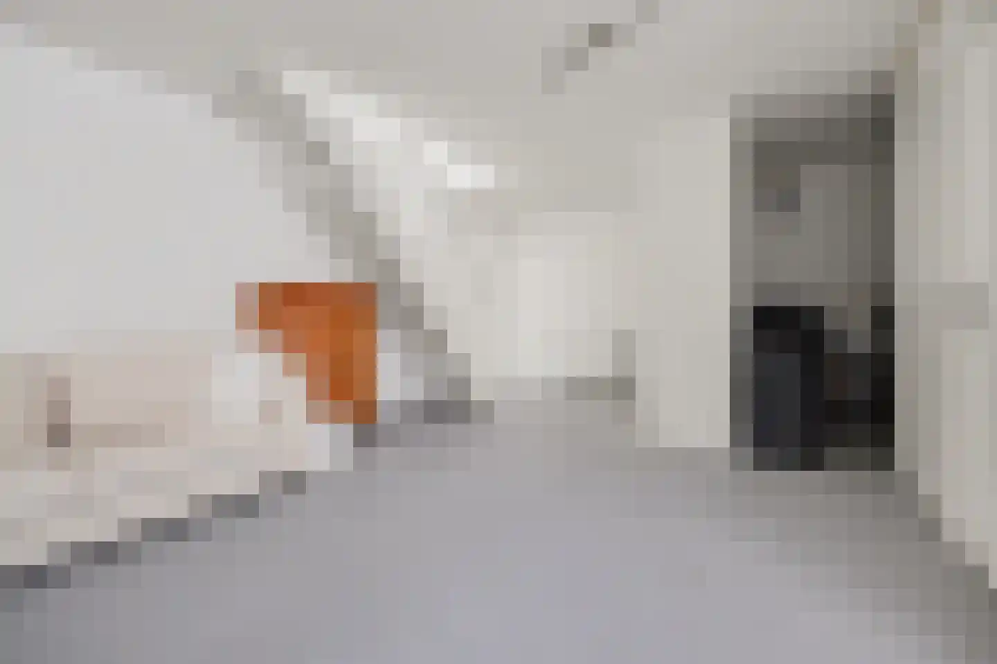 Advocatenlaan 2 a Ammerzoden thumbnail 24