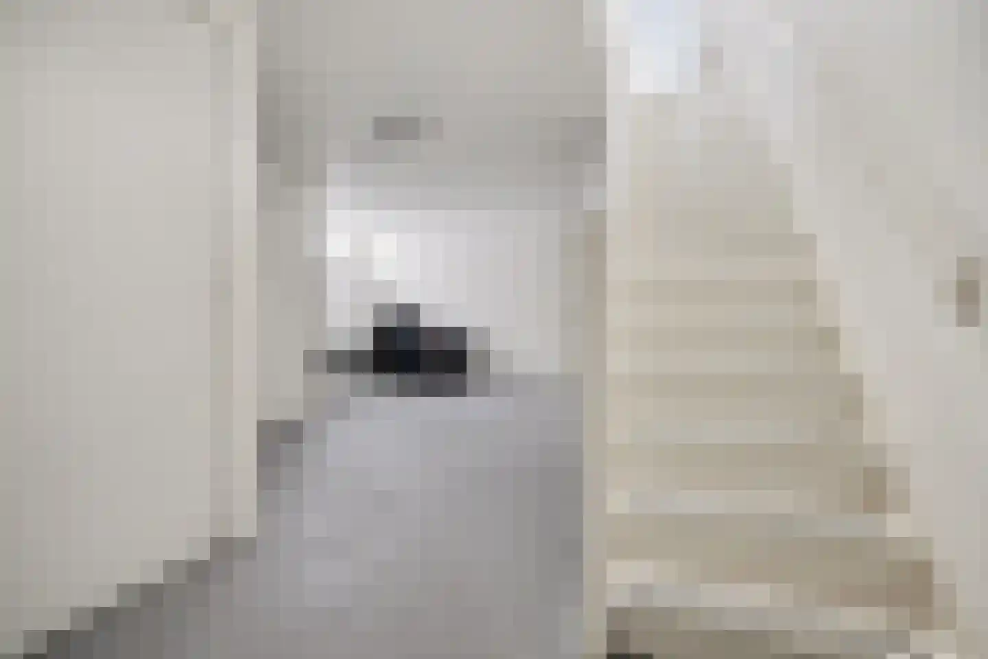 Advocatenlaan 2 a Ammerzoden thumbnail 26