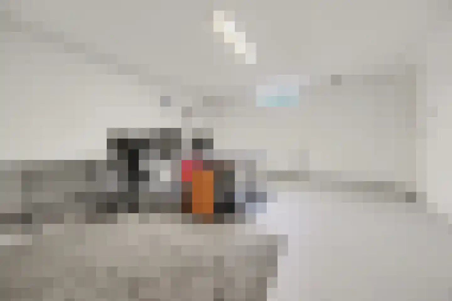 Advocatenlaan 2 a Ammerzoden thumbnail 29