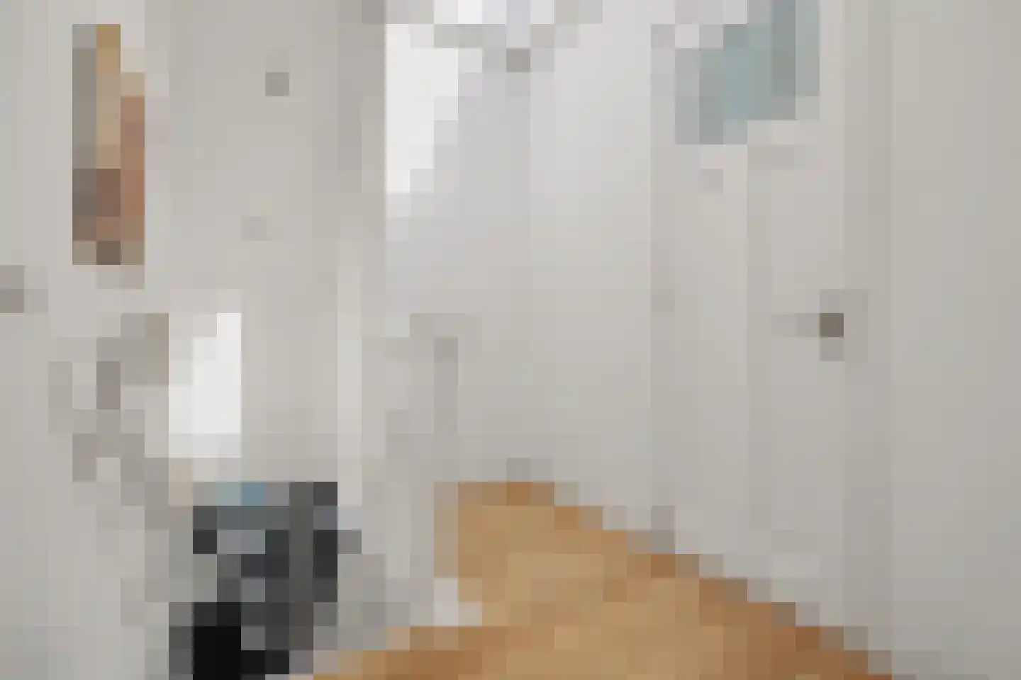 Advocatenlaan 2 a Ammerzoden thumbnail 34