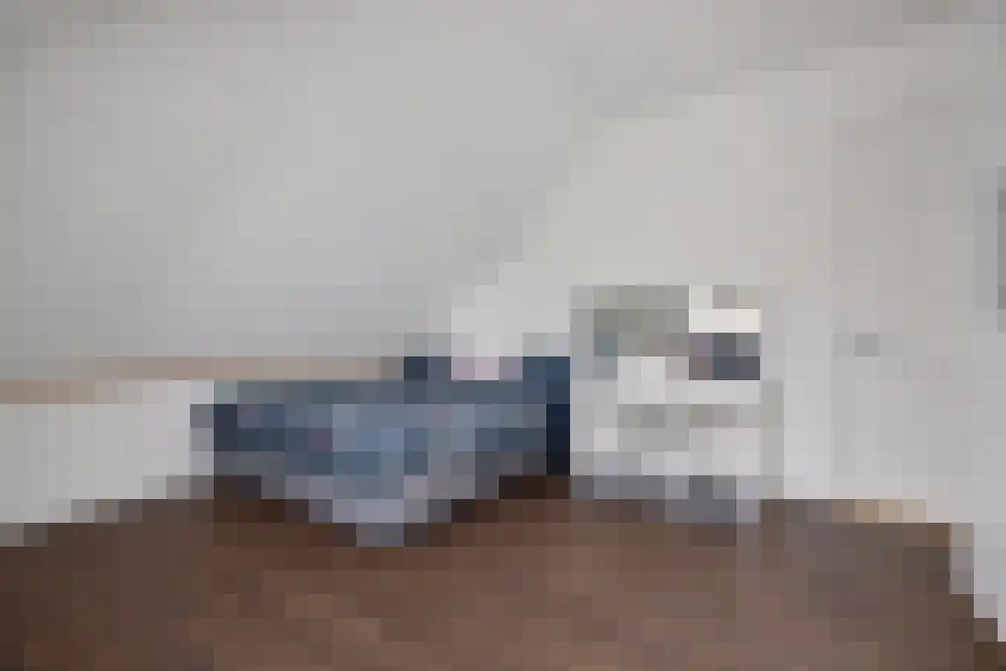 Advocatenlaan 2 a Ammerzoden thumbnail 38
