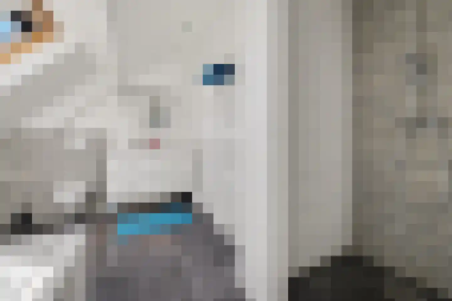 Advocatenlaan 2 a Ammerzoden thumbnail 41