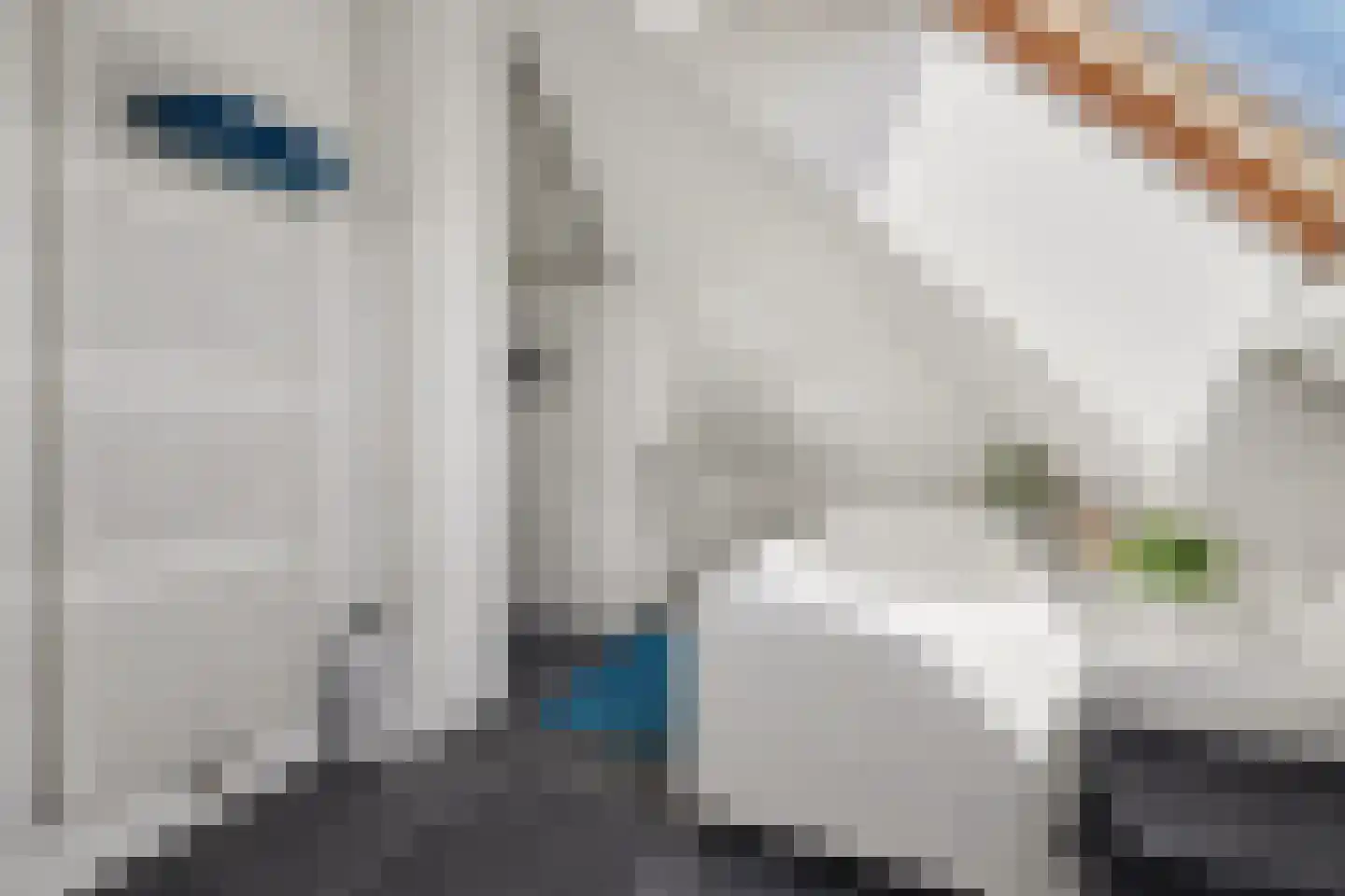 Advocatenlaan 2 a Ammerzoden thumbnail 43