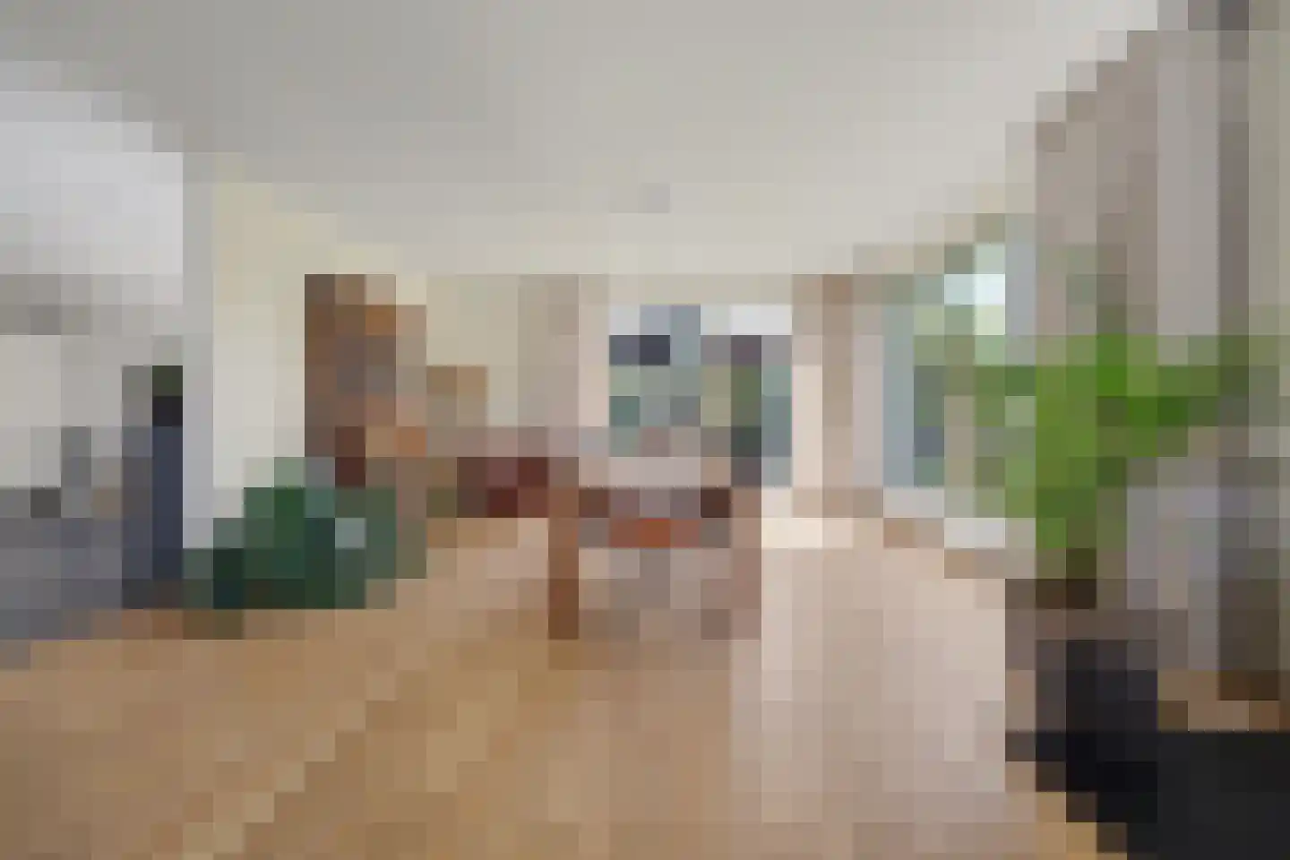 Advocatenlaan 2 a Ammerzoden thumbnail 9