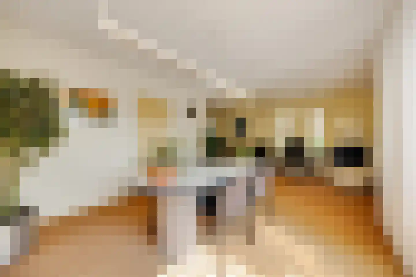 Advocatenlaan 28 Ammerzoden thumbnail 10