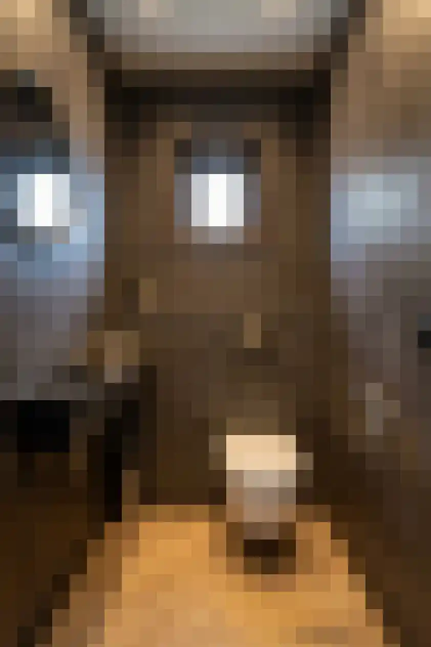 Advocatenlaan 28 Ammerzoden thumbnail 13