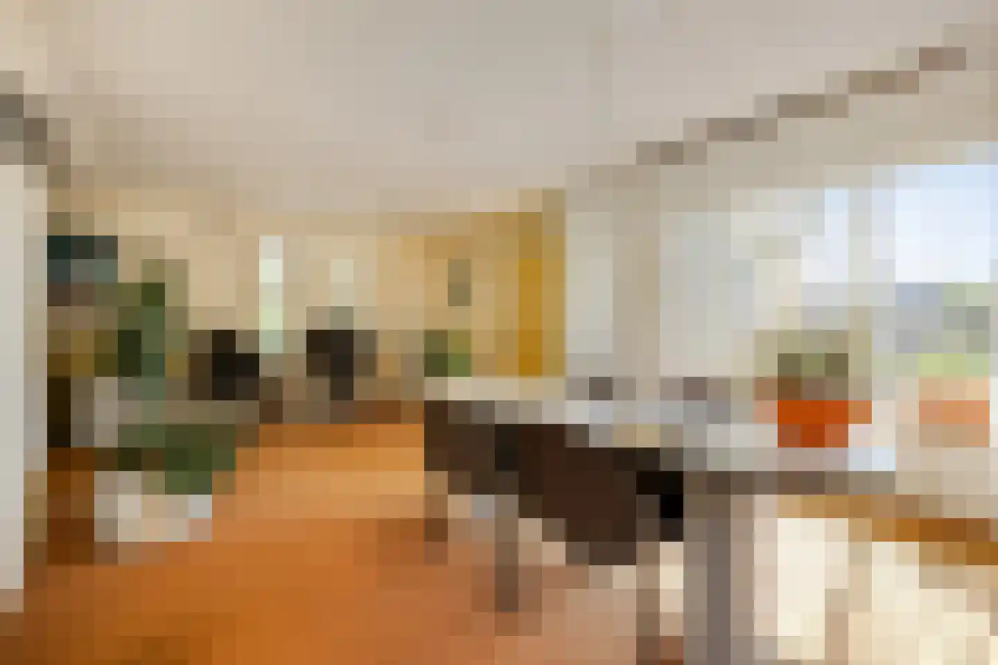 Advocatenlaan 28 Ammerzoden thumbnail 14
