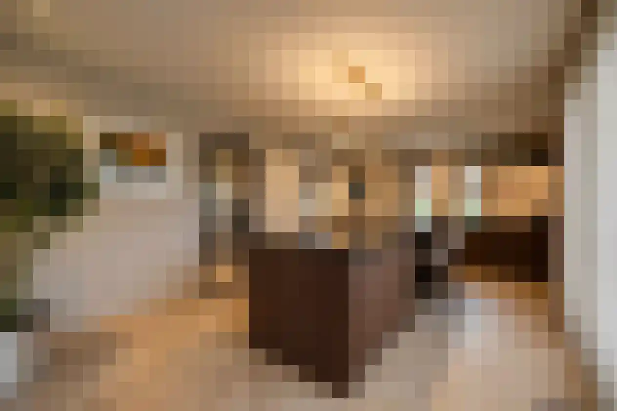 Advocatenlaan 28 Ammerzoden thumbnail 15