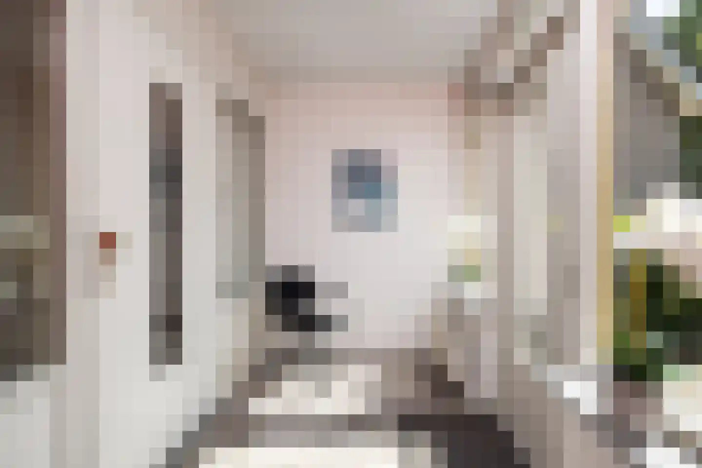 Advocatenlaan 28 Ammerzoden thumbnail 16