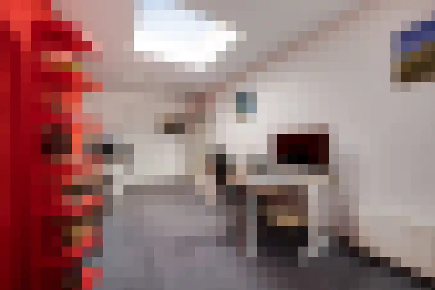 Advocatenlaan 28 Ammerzoden thumbnail 17