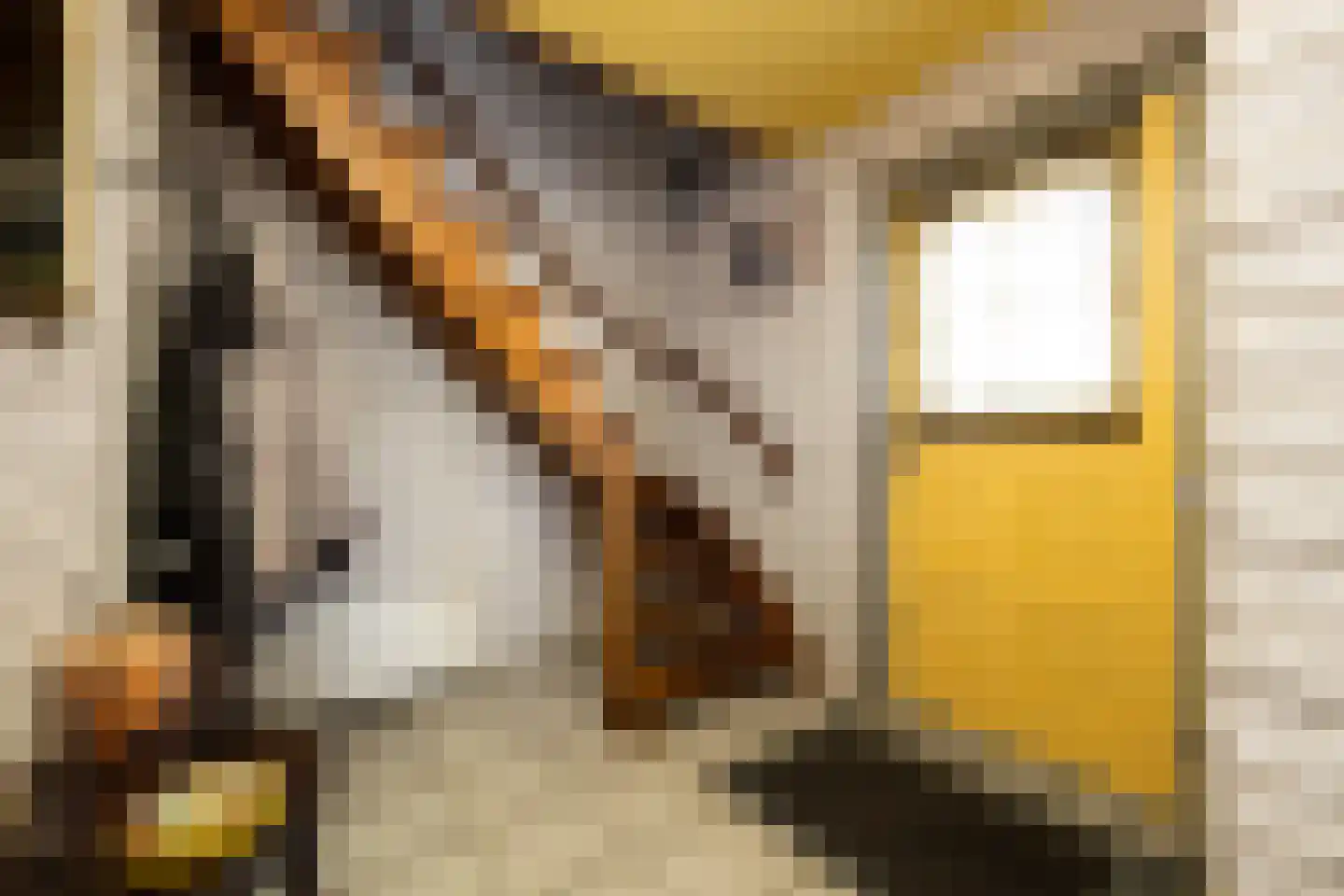 Advocatenlaan 28 Ammerzoden thumbnail 20