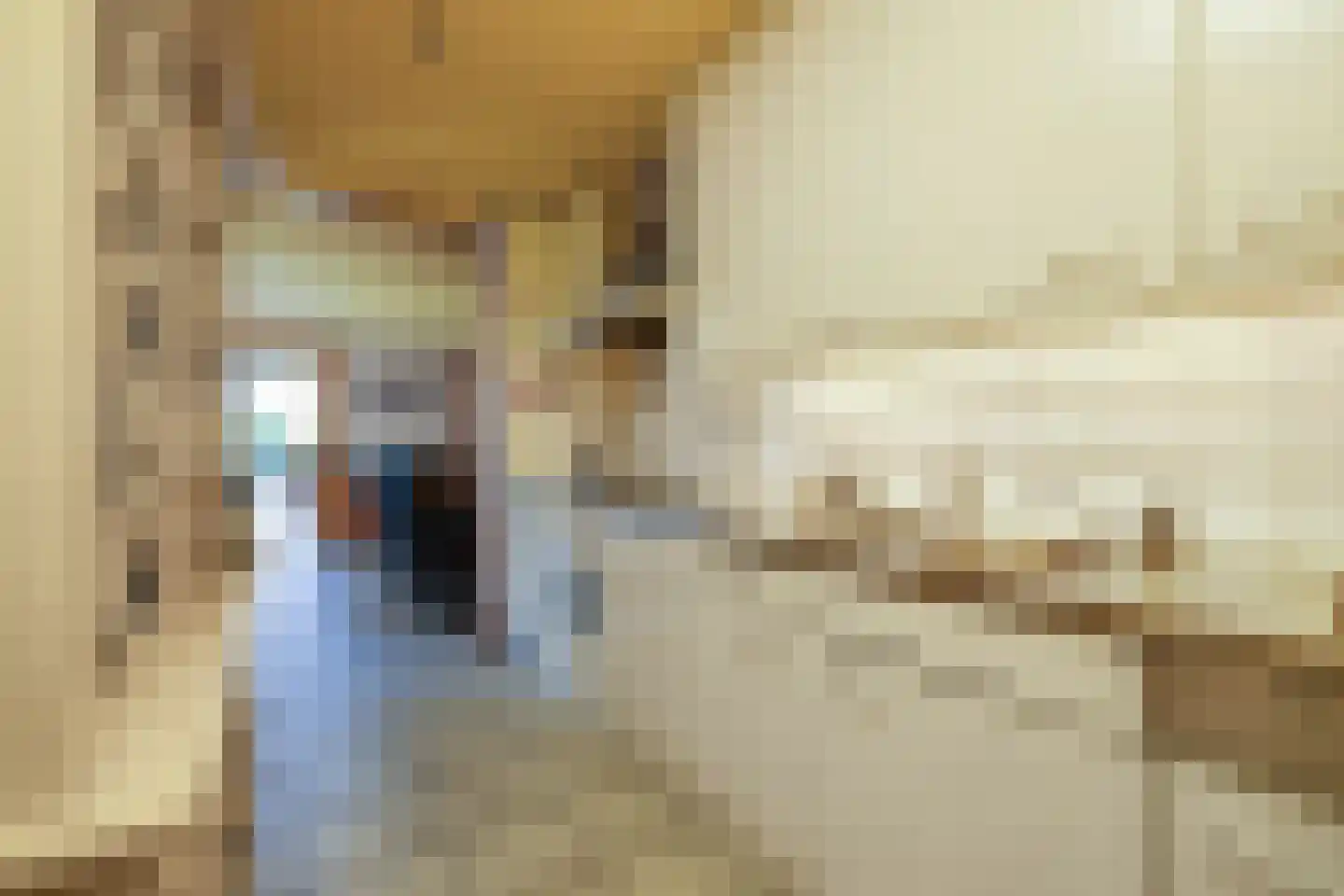 Advocatenlaan 28 Ammerzoden thumbnail 22