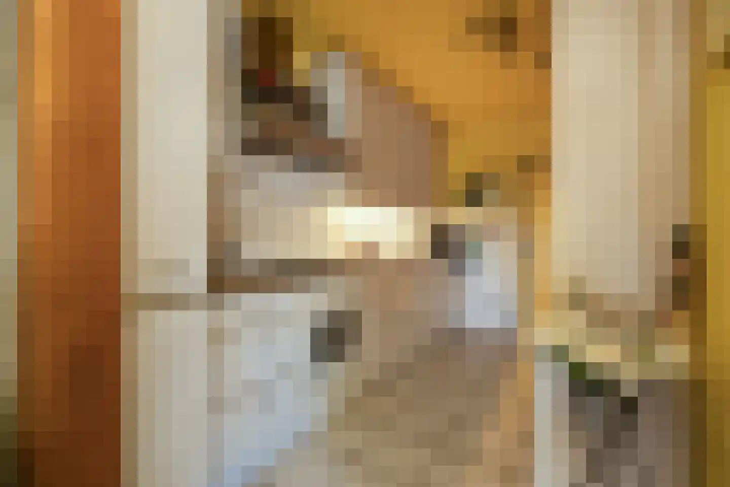 Advocatenlaan 28 Ammerzoden thumbnail 23