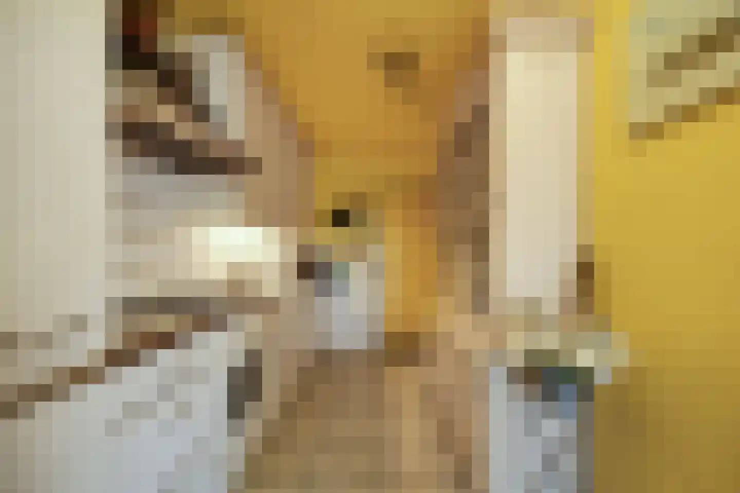 Advocatenlaan 28 Ammerzoden thumbnail 24