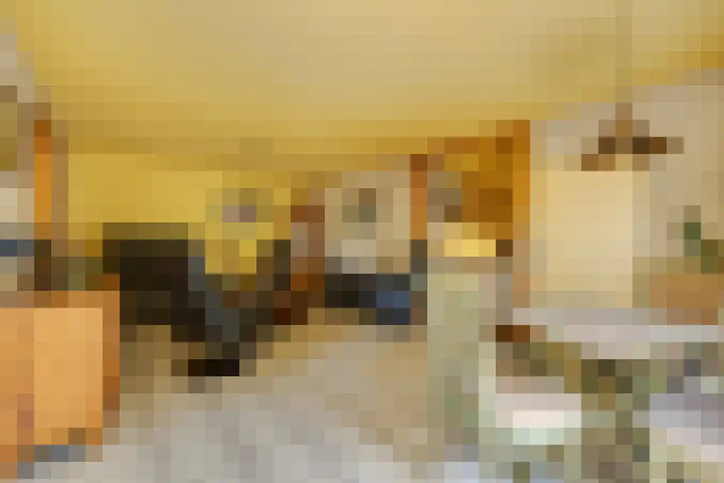 Advocatenlaan 28 Ammerzoden thumbnail 27
