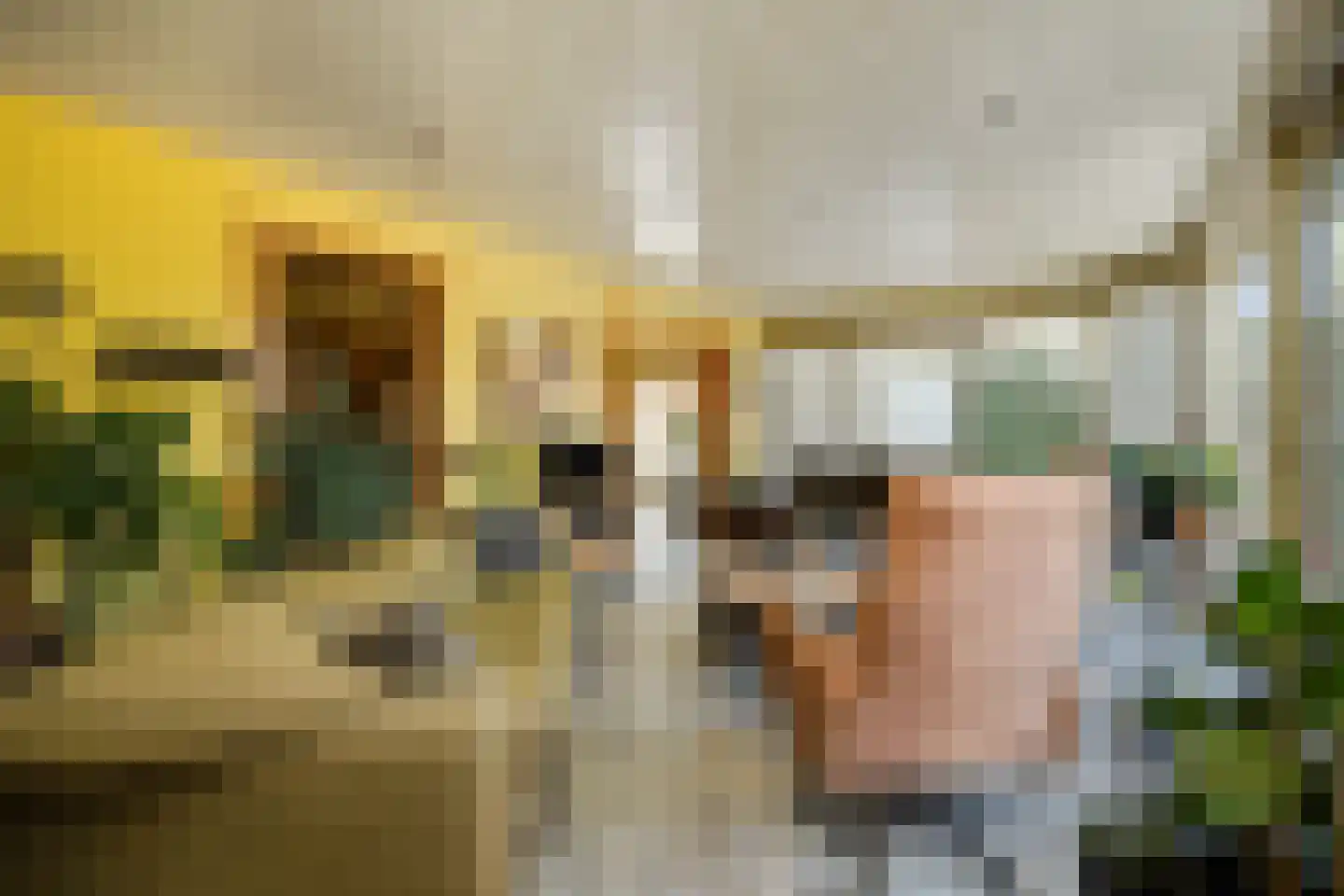Advocatenlaan 28 Ammerzoden thumbnail 32