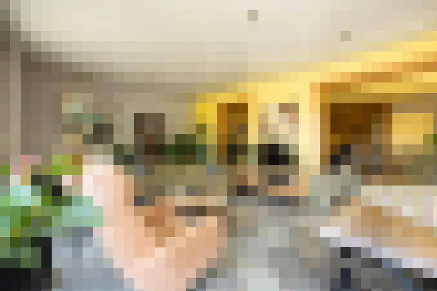 Advocatenlaan 28 Ammerzoden thumbnail 34