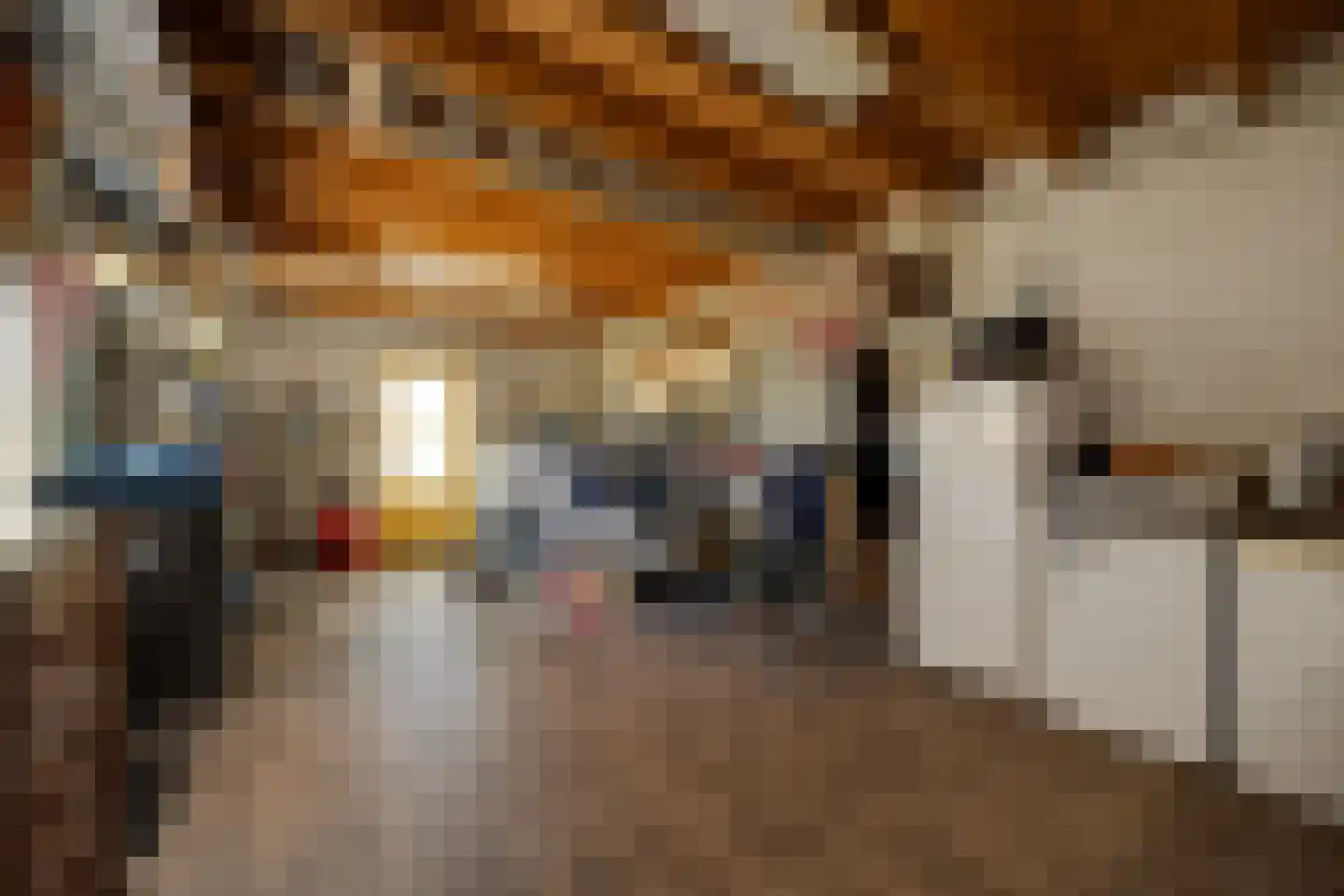 Advocatenlaan 28 Ammerzoden thumbnail 35