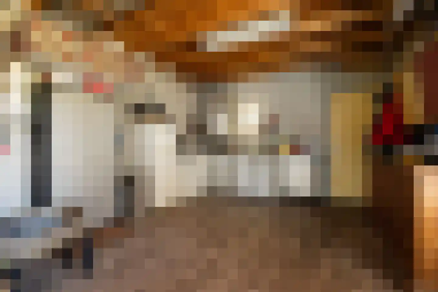 Advocatenlaan 28 Ammerzoden thumbnail 36