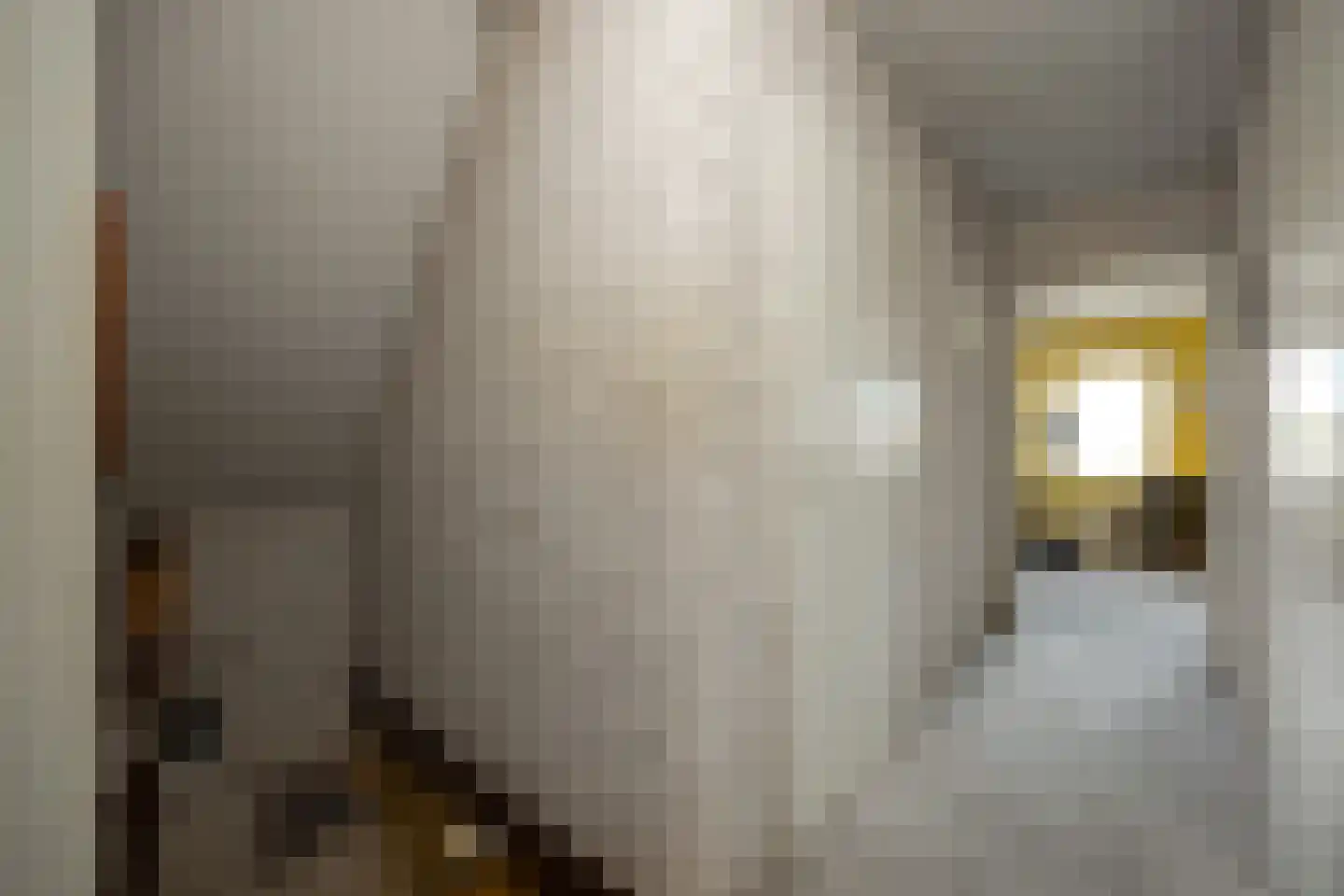 Advocatenlaan 28 Ammerzoden thumbnail 37