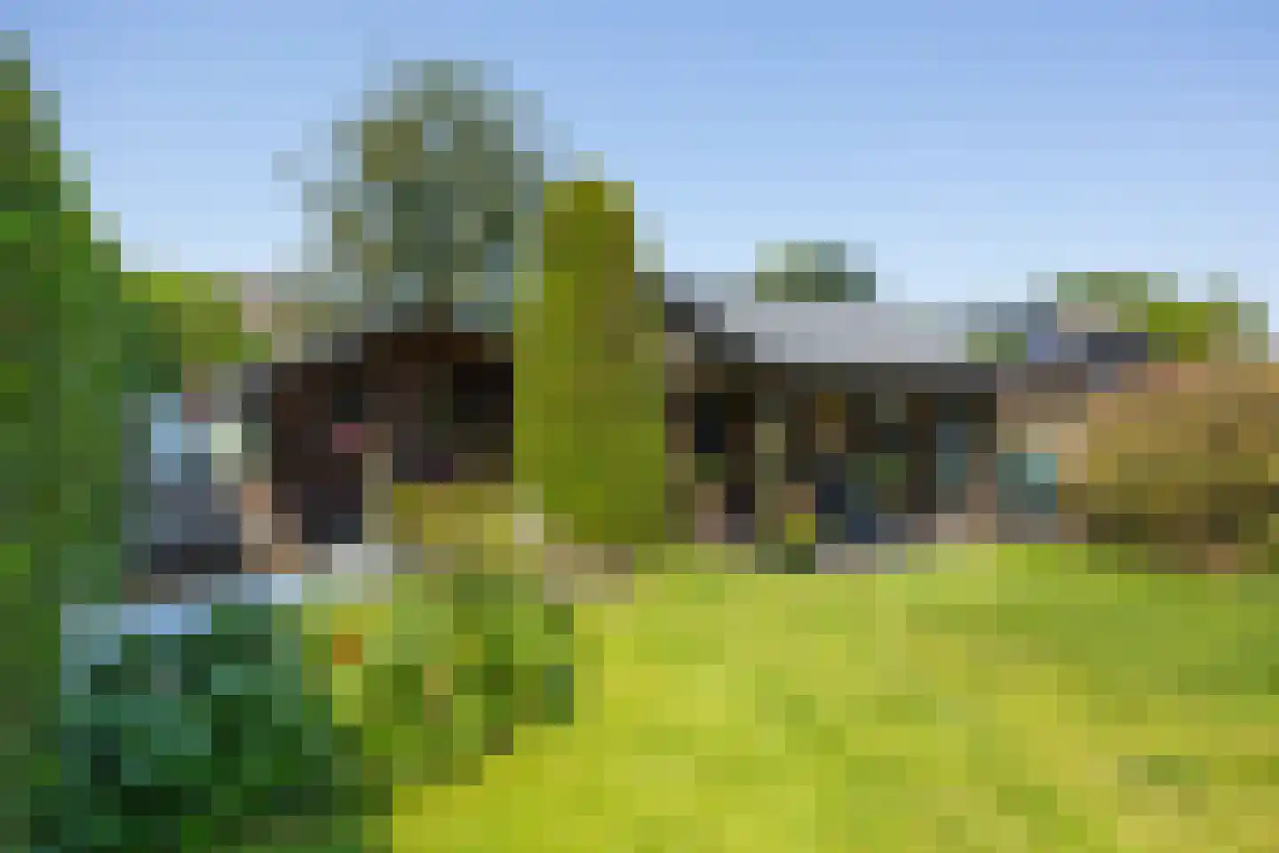 Advocatenlaan 28 Ammerzoden thumbnail 58
