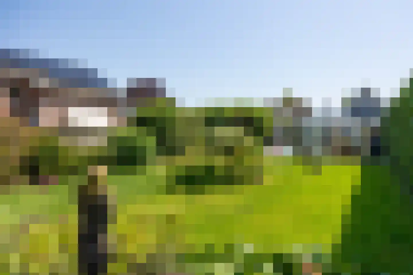 Advocatenlaan 28 Ammerzoden thumbnail 59