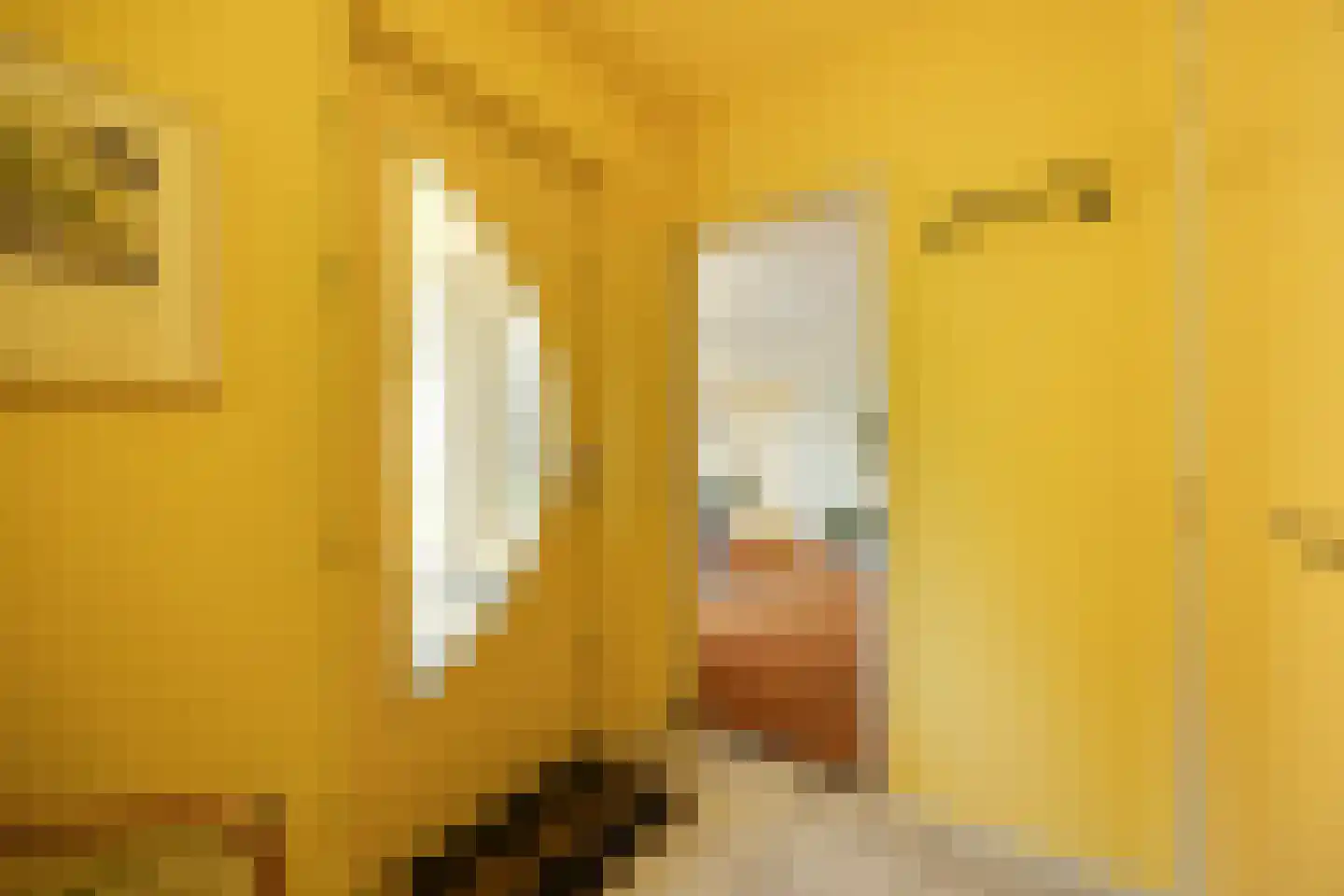 Advocatenlaan 28 Ammerzoden thumbnail 8