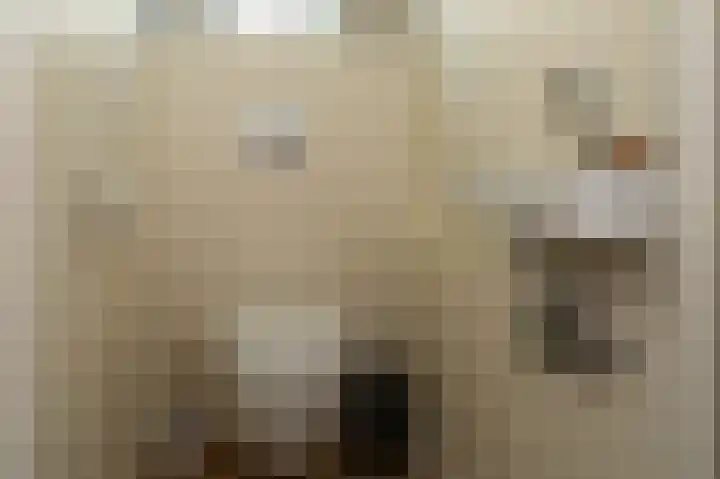 AE Kade 31 Veendam thumbnail 22