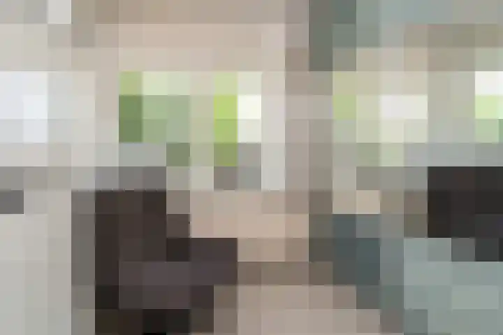 AE Kade 31 Veendam thumbnail 33