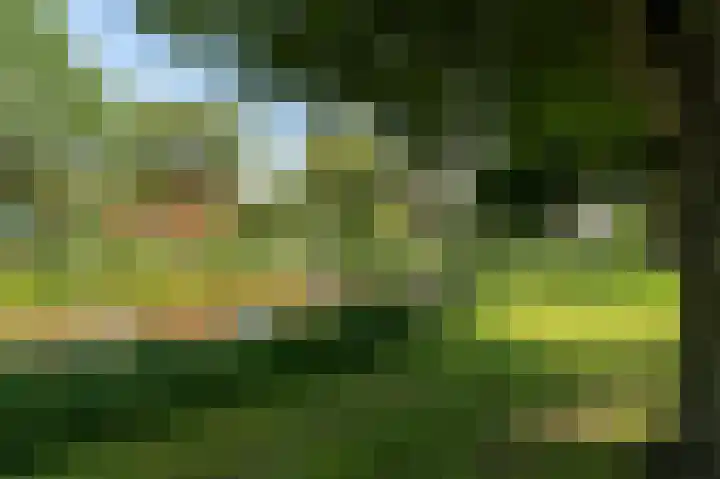 AE Kade 31 Veendam thumbnail 55