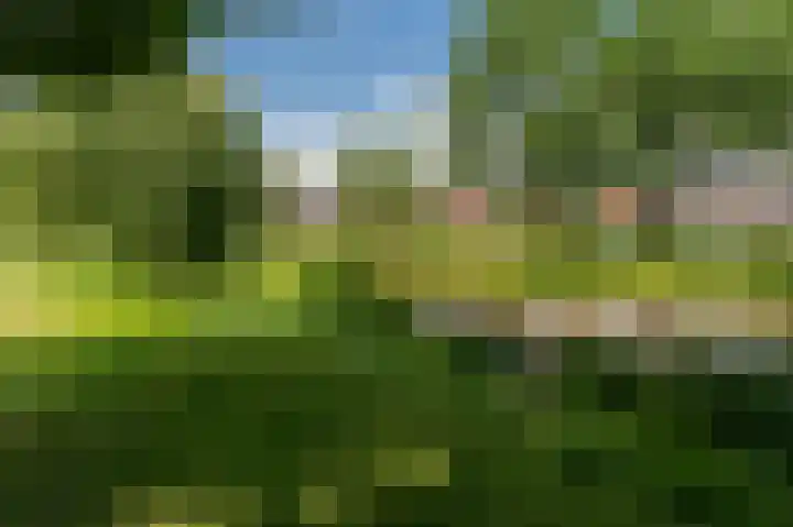 AE Kade 31 Veendam thumbnail 56