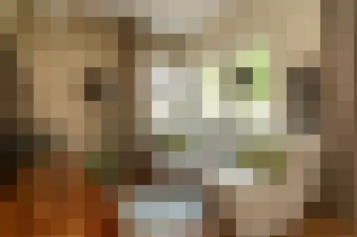 AE Kade 31 Veendam thumbnail 7