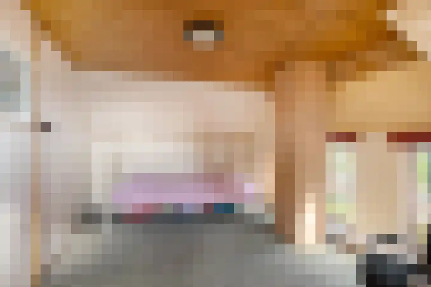 AE-weg 28 Woldendorp thumbnail 17