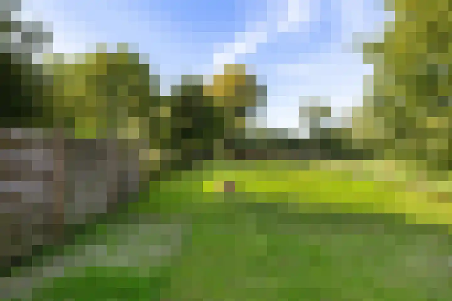 AE-weg 28 Woldendorp thumbnail 34