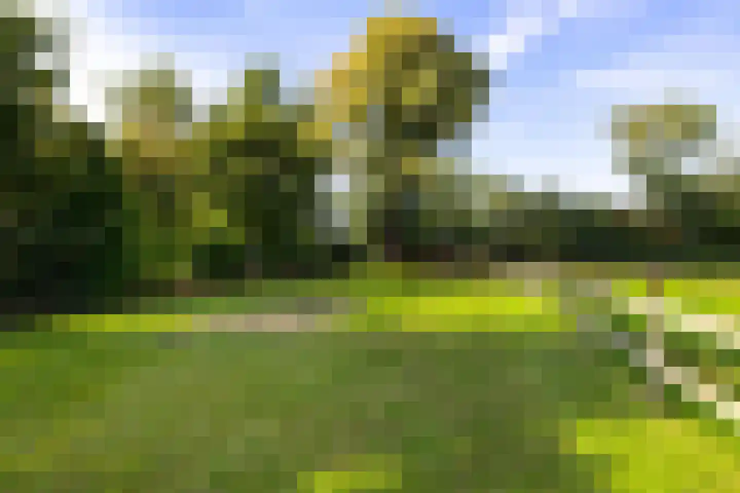 AE-weg 28 Woldendorp thumbnail 35